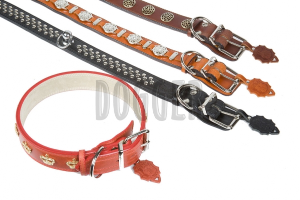 Collar 45 with accessories colored 75-80