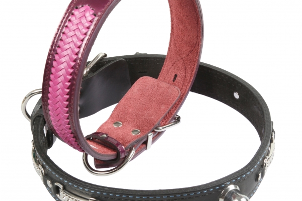 Collar 45 with accessories 75-80