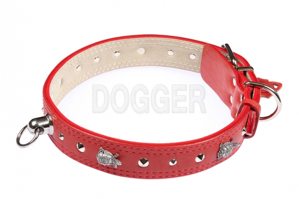 Collar 45 with accessories colored 75-80