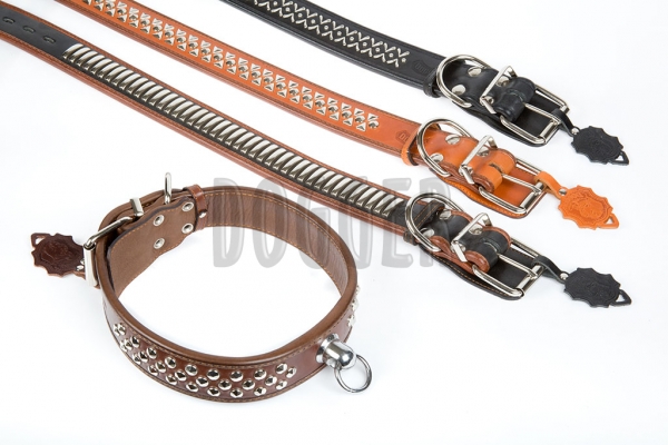 Collar 45 tucked with accessories