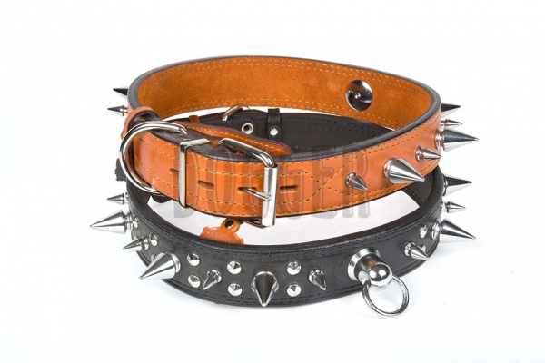 Collar 45 with thorn