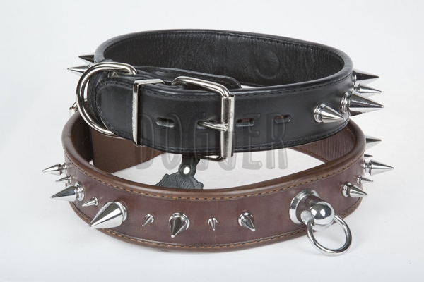 Collar 45 tucked with thorn.
