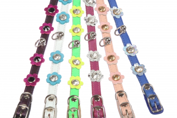 DOGGER Collar 10