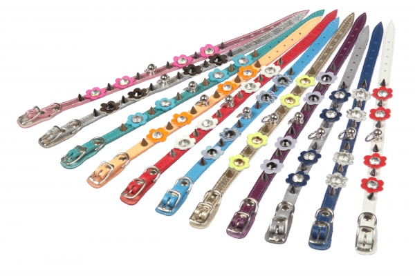 DOGGER Collar 10