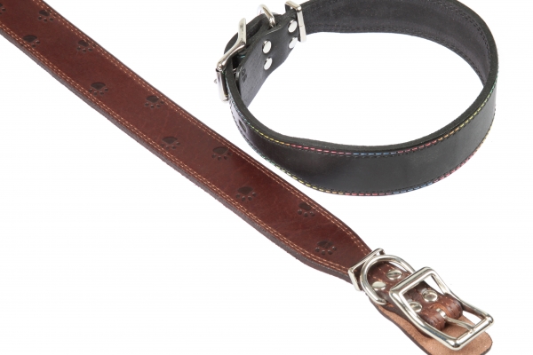 Collar 25