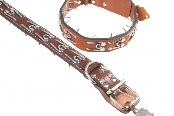 Collar 45