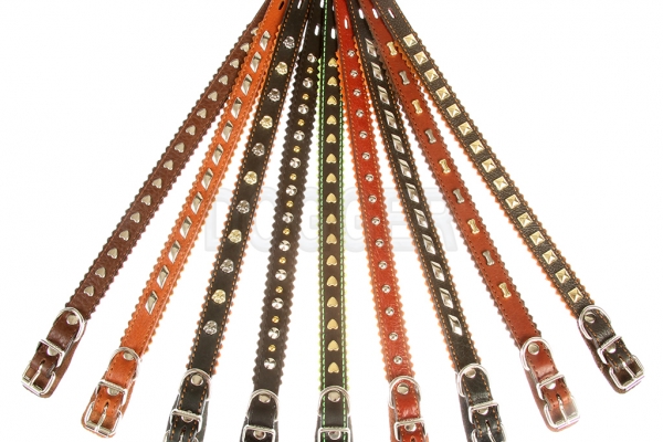 Collar 15 with accessories