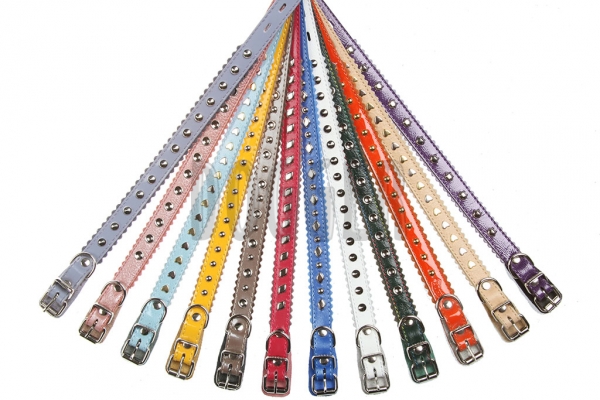 Collar 15 with accessories colored