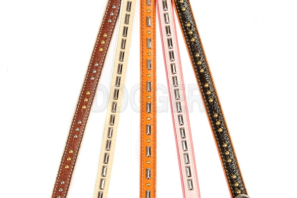 Collar 15 tucked with accessories colored