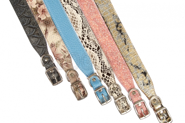 Collar 15 extended colored