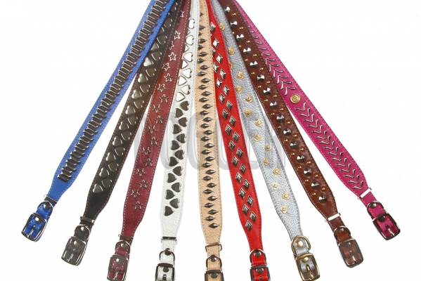 Collar 15 extended with accessories colored