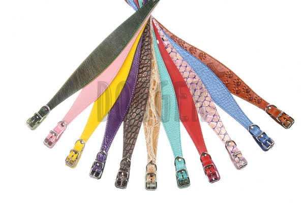 Collar 15 