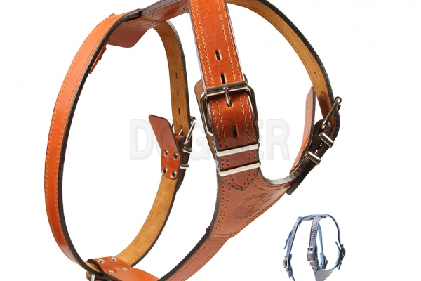 Harness 45 