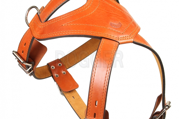 Harness 45 rideable (back)